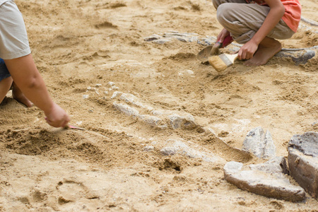 孩子们在学恐龙遗骸, 挖掘恐龙化石在公园里模拟