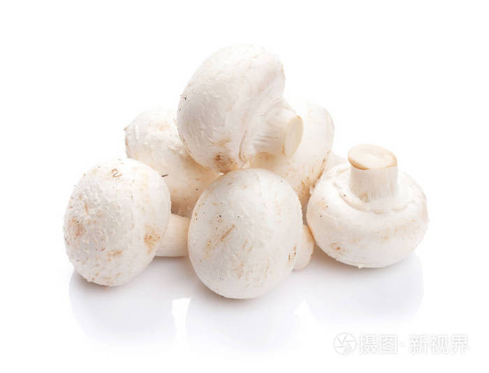 双孢菇蘑菇.在白色背景上孤立