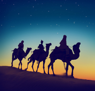 男子骑着骆驼穿越沙漠