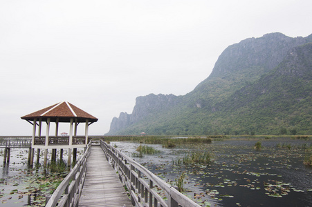 莲花湖约达国家公园，泰国在木桥
