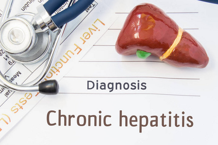 慢性乙型肝炎诊断。人类肝脏解剖 3d 模型是附近听诊器 肝化验的结果功能和打印记事本诊断慢性肝炎