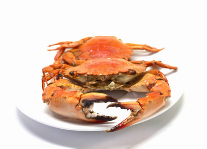 白色背景上的红蟹。两个水煮的海螃蟹为饮食服务