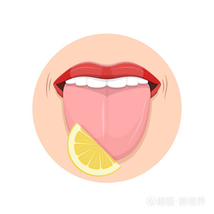 人体器官舌头, 知觉口味, 五味蕾感受器人