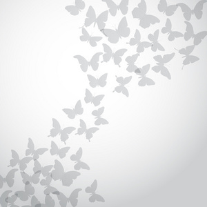 白色背景上的抽象灰色蝴蝶背景。 向量