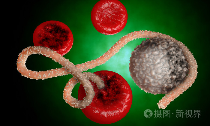 埃博拉病毒细菌病毒流行逼真的3d渲染与生物体内的血液细胞埃博拉病毒
