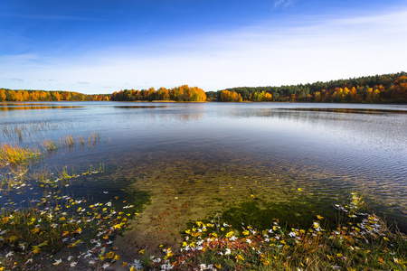 在湖的秋天