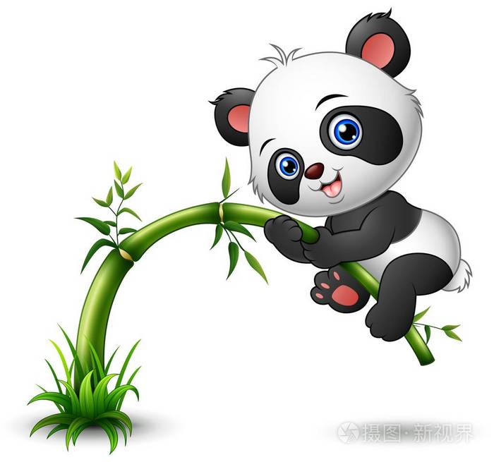 可爱的小宝贝熊猫爬树竹插画-正版商用图片0nwat6-摄图新视界