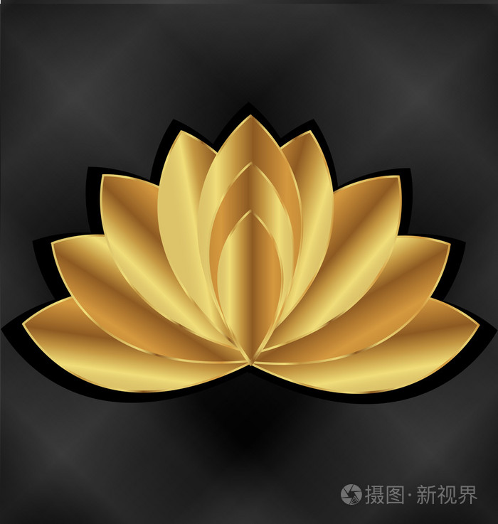 金莲花的花卉图案