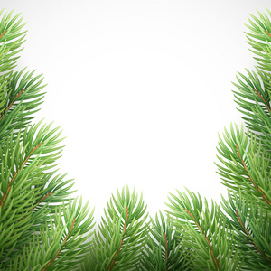 绿色云杉枝喜欢圣诞帧。矢量图