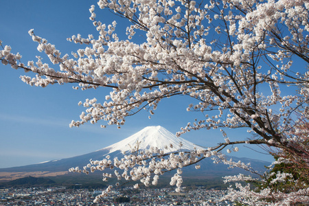 富士山景