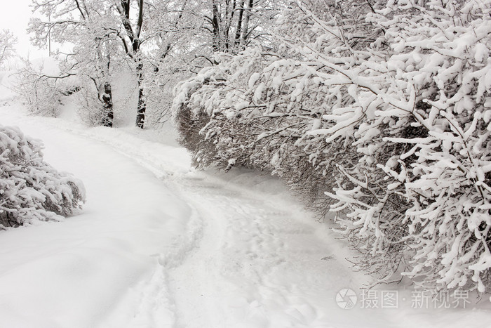 下雪的冬天照片-正版商用图片0nwxe8-摄图新视界