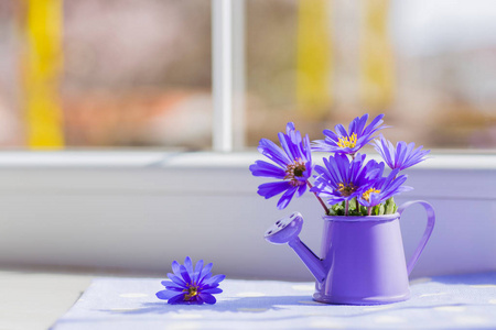 与春天鲜花花束靠近窗户的小喷壶