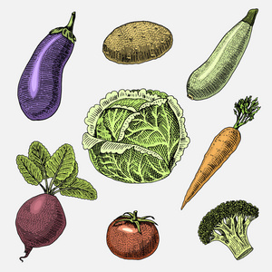 手定，刻的蔬菜 素食食品 植物 老式看卷心菜 茄子 甜菜根 西红柿 西兰花 胡萝卜 西葫芦