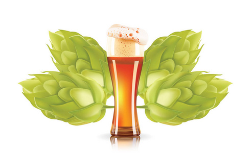 蛇麻草和优雅玻璃啤酒 3d 矢量图标孤立在白色背景上。啤酒花啤酒真实感矢量图