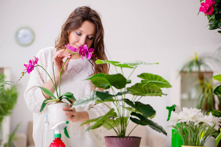 植物在家里照顾的年轻女人