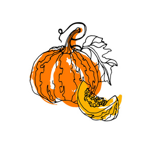 南瓜矢量秋天插图万圣节蔬菜食品素食橙色