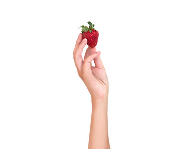 手中的草莓。白色背景。浆果的手