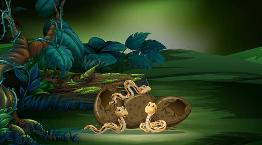 三蛇卵孵化的森林场景