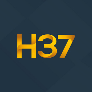联名信标志 H37