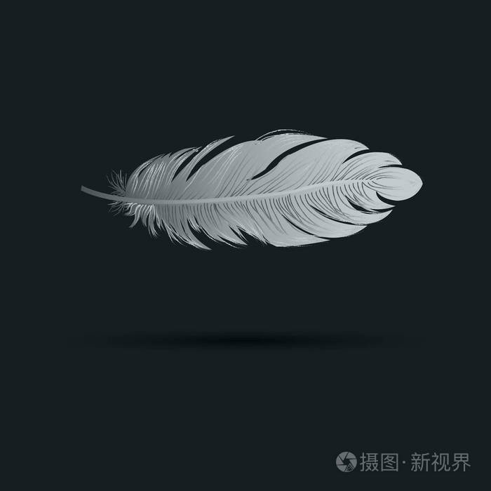 羽毛矢量插图艺术图标鹅毛笔符号