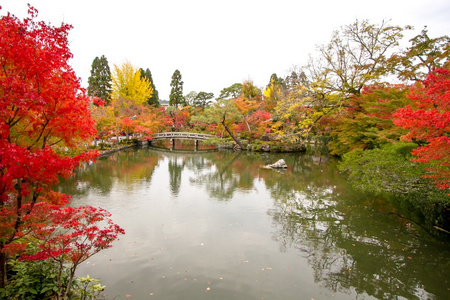 Eikando 寺内池塘