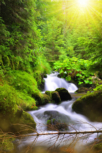 在国家公园的舒马瓦山捷克共和国境内的山间溪流瀑布