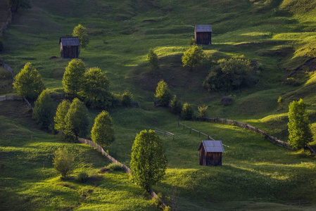 Bucovina 地区的田园风光在夕阳下的绿色连绵起伏的丘陵和小屋