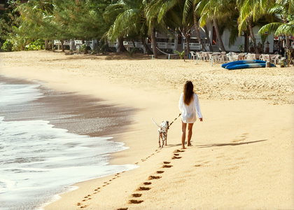 女孩走在海滩上，达尔马提亚狗