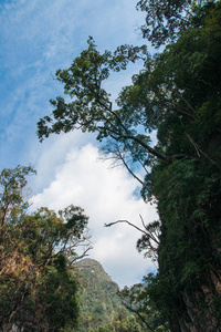 在泰国 Chieou 档口湖的风景和独特景观