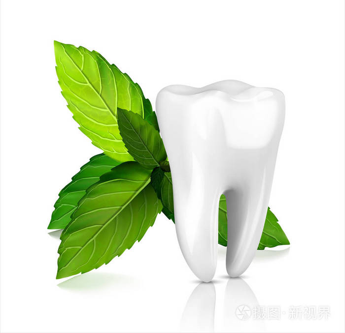 美白牙齿广告, 与薄荷叶.绿色薄荷叶清新的概念.牙齿健康