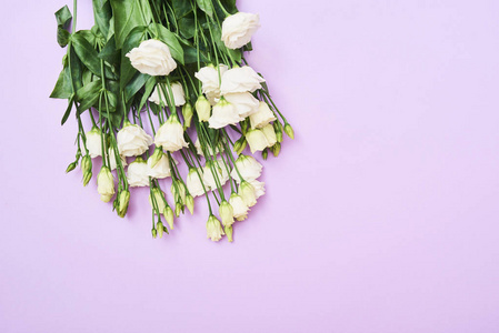 贺卡与春天白色洋花在紫色背景, 空间为您的文本。顶部视图