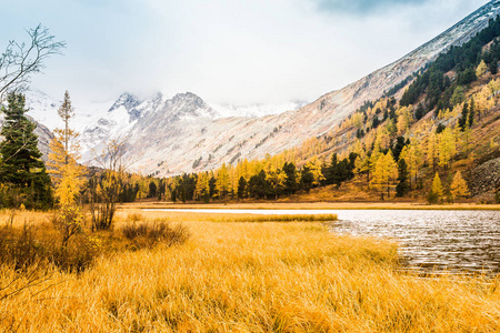山湖以反射在岩石的镜子表面在多云阴雨天气在秋天。这个山地国家的美丽, 秋天的自然