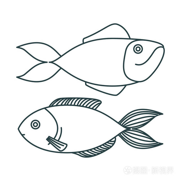 黑白剪影剪影对类型鱼