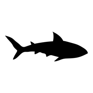 白底黑鲨鱼剪影