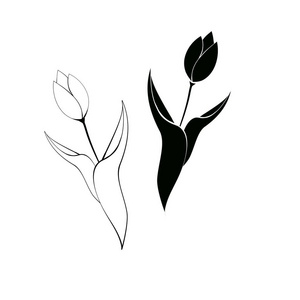 集郁金香花图形黑色白色隔离素描插图
