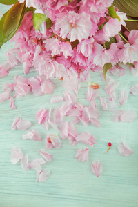 美丽的樱花花枝装饰在一张白色的木桌上, 可用作背景