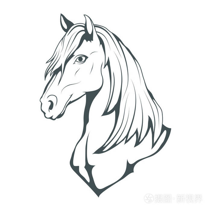 马牵手的马马头素描矢量图稿
