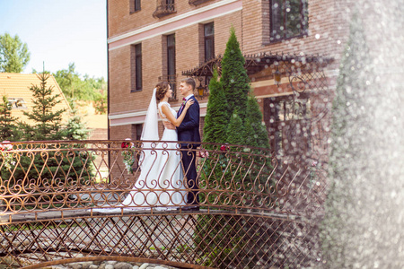 英俊的新郎和迷人的新娘拥抱, 而站在桥附近的砖房