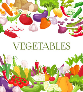 蔬菜和健康食品菜单海报。新鲜的胡萝卜 西红柿 辣椒 洋葱 西兰花 白菜 大蒜 黄瓜 菜花 大头菜 萝卜。素食