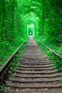 在爱的春天森林隧道的铁路