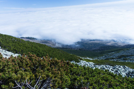 绿色山森林风景。山森林在云彩风景