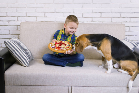 滑稽的男孩和狗猎犬吃比萨在沙发上