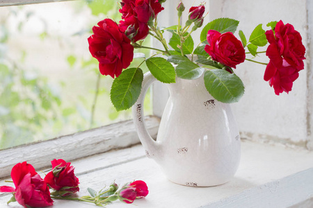 窗台上壶里的红玫瑰