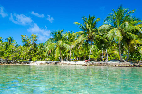 南水 Caye小热带海岛在障碍礁与天堂海滩, 加勒比海, 伯利兹, 中美洲