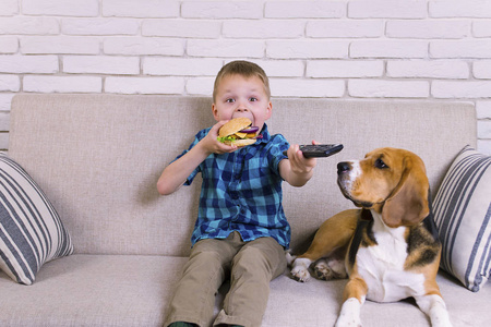 滑稽的男孩和狗猎犬吃汉堡在沙发上