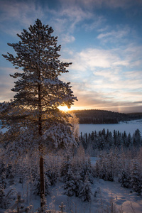 在芬兰的冬天