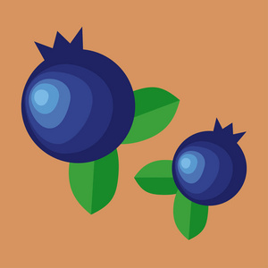 蓝莓水果。矢量卡通蓝莓叶。独立插图图形设计