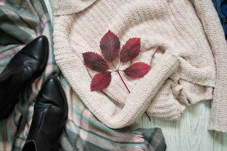 淡粉色毛衣, 围巾和鞋子。时尚理念