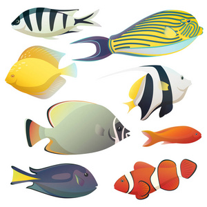 水下金黄鱼和小海动物群