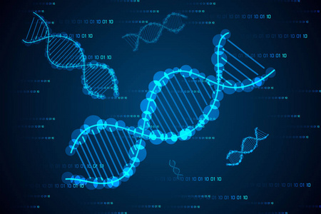 二元背景下的科学概念 Dna 高科技